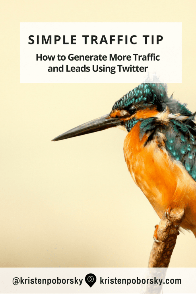 Generate More Traffic and Leads Using Twitter for pinterest