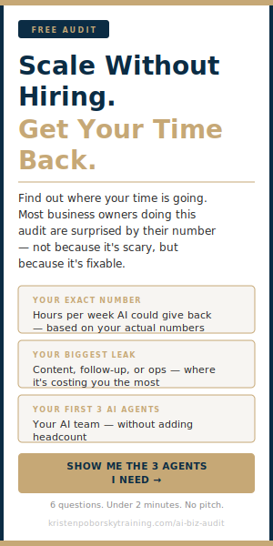ai-biz-audit-sidebar (1)
