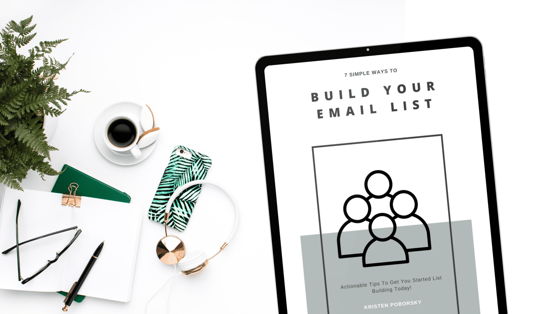 opt in: Build Your Email List
